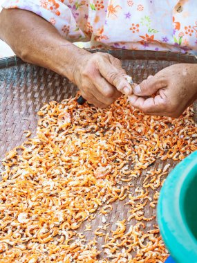 Yaşlı bir kadın balıkçıya yakın olmak için karidesin istenmeyen kısımlarını kesmek için küçük bir bıçak kullanılır. Bu da satılık kurutulmuş karides yapmanın bir adımıdır..