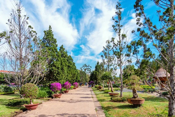 Dalat Vietnam Abril 2019 Hermoso Paisaje Del Famoso Parque Flores — Foto de Stock
