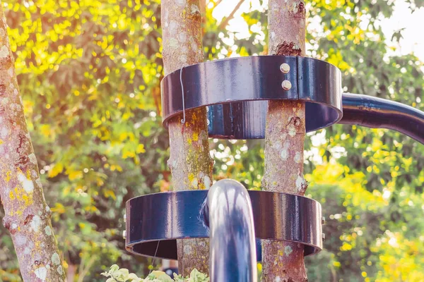 黑钢柱子支撑和控制着树干和树枝 使它们笔直而美丽地站在公园里 — 图库照片