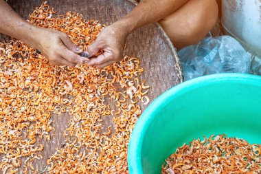 Yaşlı bir kadın balıkçıya yakın olmak için karidesin istenmeyen kısımlarını kesmek için küçük bir bıçak kullanılır. Bu da satılık kurutulmuş karides yapmanın bir adımıdır..