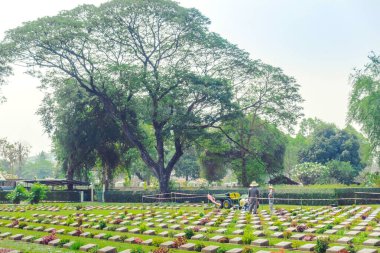 KANCHANABURI THAILAND - 21 Şubat: Kimliği belirsiz işçiler, 21 Şubat 2020 'de Kanchanaburi, Tayland' daki Kanchanaburi Müttefik Savaş Mezarlığı 'nda çiçek yenileyip dekore ediyorlar