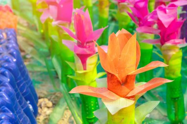 Plastik şişelerden yapılmış renkli plastik çiçekler bahçedeki çiçek süsü olarak kullanılıyor. Plastik şişe geri dönüştürüldü.