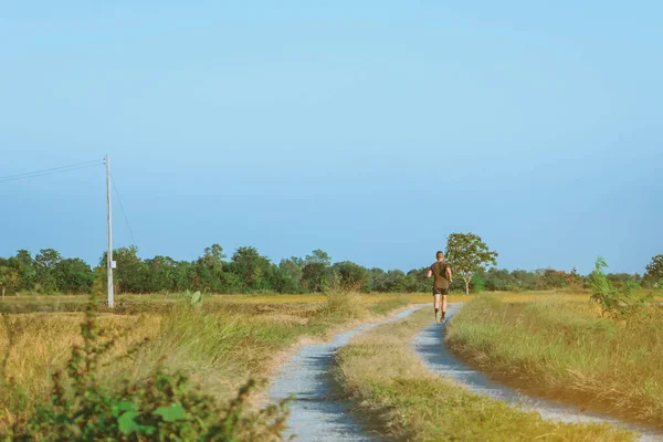 Back view of man running and exercising on the path through the rice fields in the evening.