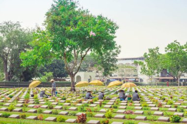 KANCHANABURI THAILAND - 21 Şubat: Kimliği belirsiz işçiler, 21 Şubat 2020 'de Kanchanaburi, Tayland' daki Kanchanaburi Müttefik Savaş Mezarlığı 'nda çiçek yenileyip dekore ediyorlar