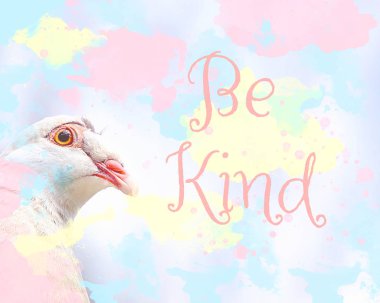 Nazik Kuş İllüstrasyonu