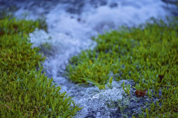 Cortar hierba verde con flujo de agua — Foto de Stock