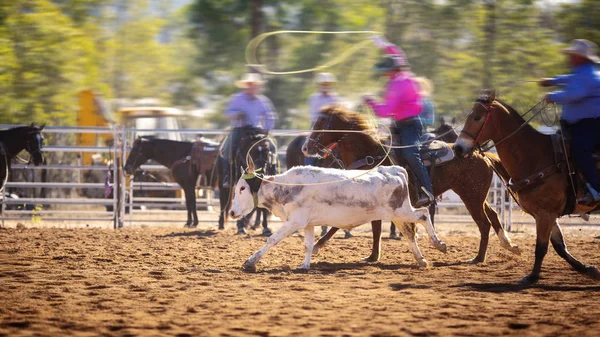 Ομάδα Cowboys Roping A Calf — Φωτογραφία Αρχείου