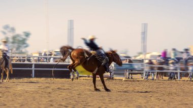 Bucking Eyer Bronc Biniciliği