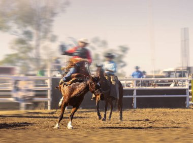 Bucking Eyer Bronc Biniciliği