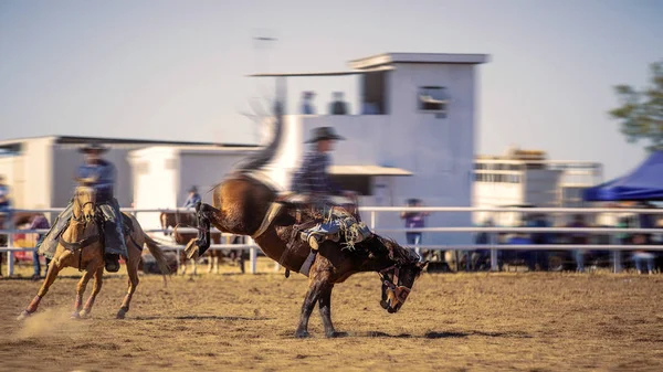 Bucking zadel Bronc paardrijden — Stockfoto