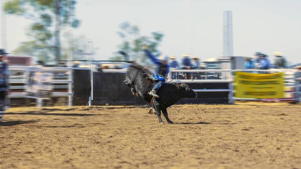 Cowboy ridning tjur på Rodeo — Stockfoto