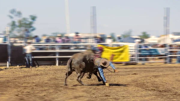 A Cowboy Riding A Bucking Bull At Rodeo — Stock Photo, Image