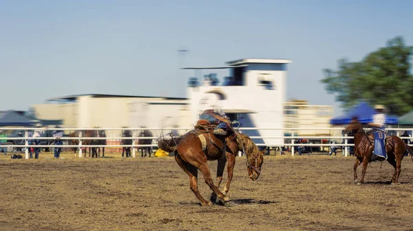 Καουμπόι ιππασία ένα κοράκι άλογο Bronc — Φωτογραφία Αρχείου