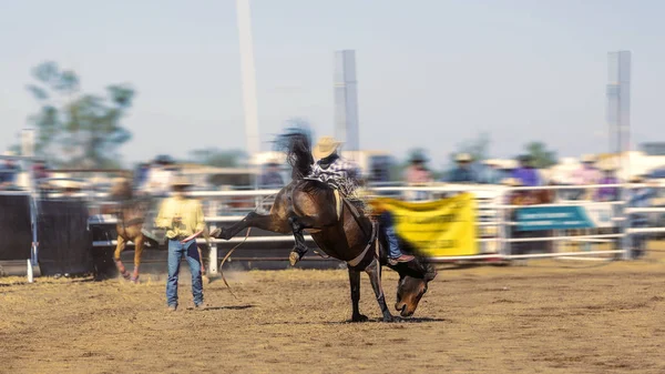 Cowboy ridning en Bucking Bronc häst — Stockfoto