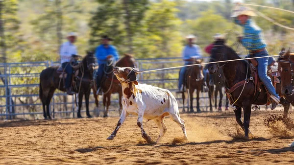 Cowboy cavalcare un cavallo di bronzo Bucking — Foto Stock