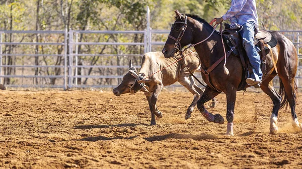 Cowboy montando um cavalo de bronze Bucking — Fotografia de Stock