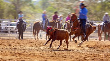 Buzağı İp Yarışması