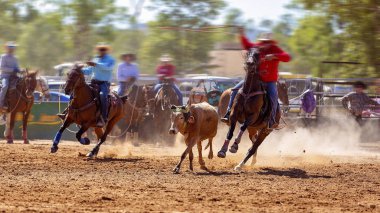 Buzağı İp Yarışması