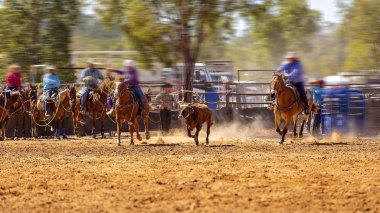 Rodeo Takımı Baldır İpi