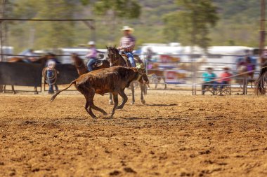 Rodeo Takımı Baldır İpi