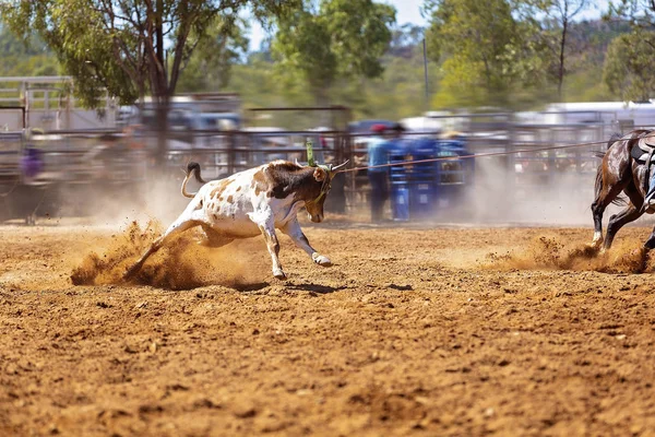Rodeo Team Calf Roping — Stockfoto