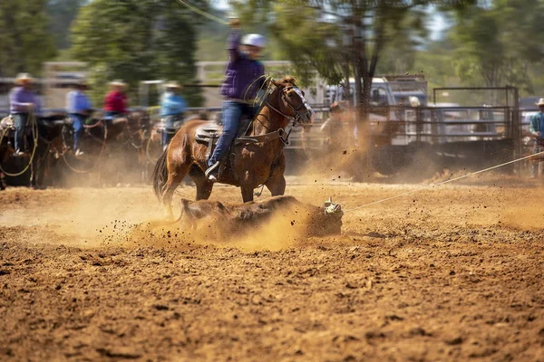 Rodeo-Team Kälberseil — Stockfoto