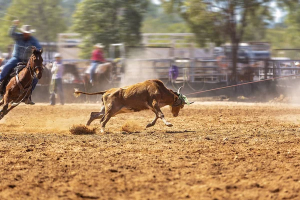 Rodeo Team Kuitrollen — Stockfoto