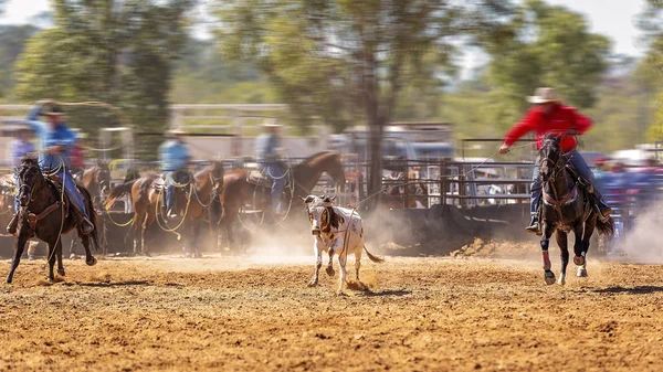 Rodeo Team Calf Roping — Φωτογραφία Αρχείου