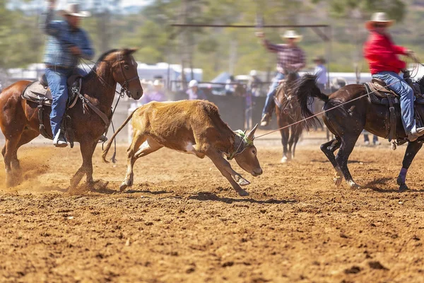 Drużyna Rodeo Loping cieląt — Zdjęcie stockowe