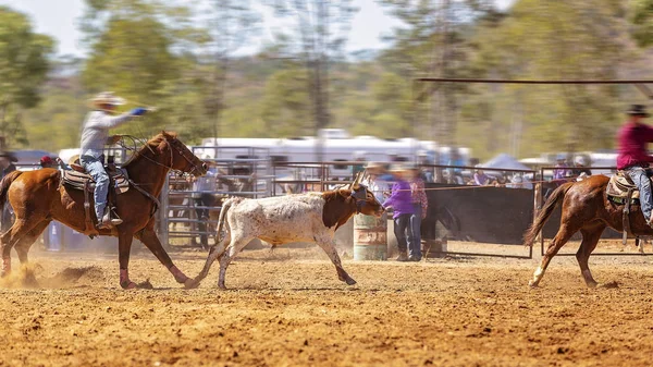 Drużyna Rodeo Loping cieląt — Zdjęcie stockowe