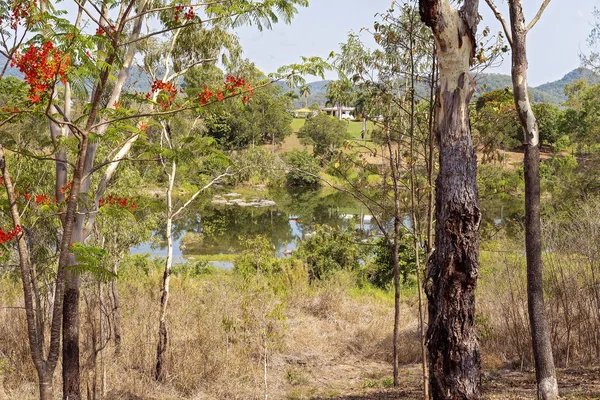 Zicht door bomen naar een rustige rivier — Stockfoto