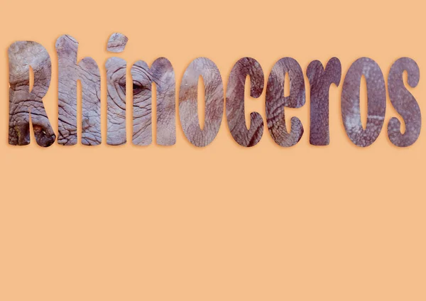 Rhinoceros Texto de la imagen del rinoceronte —  Fotos de Stock