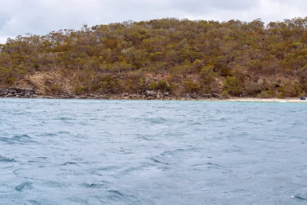 Stark és Sparsely Vegetated Shoreline of vulkanikus pala — Stock Fotó