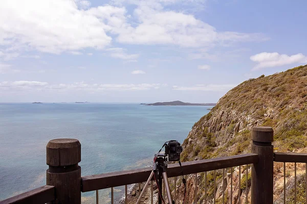 Macchina fotografica su un treppiede pronto a fotografare tartarughe — Foto Stock