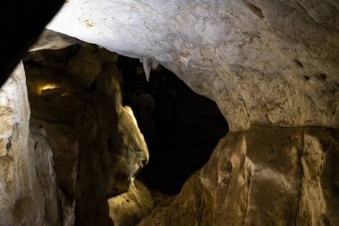 Oğlak, Avustralya 'yı Çok Düşük Işık Altında Mağara Ediyor