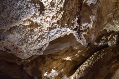 Oğlak, Avustralya 'yı Çok Düşük Işık Altında Mağara Ediyor