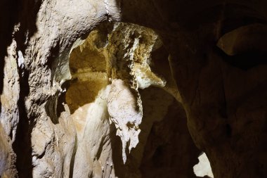 Oğlak, Avustralya 'yı Çok Düşük Işık Altında Mağara Ediyor