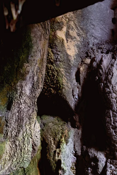 Oğlak, Avustralya 'yı Çok Düşük Işık Altında Mağara Ediyor — Stok fotoğraf