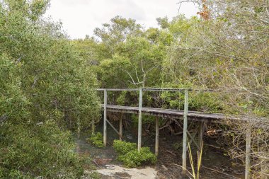 Suların Üzerinde Basit Bir Kereste Yolu Yüksekliği