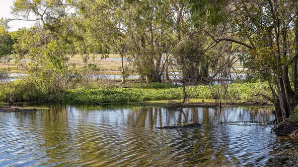 Een typisch wetlands ecosysteem — Stockfoto