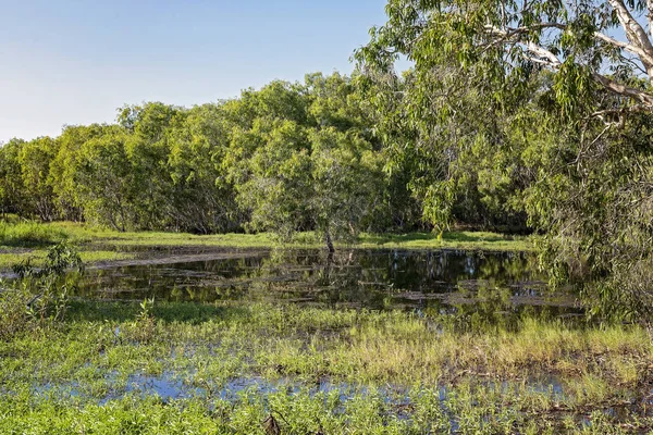 Een typisch wetlands ecosysteem — Stockfoto