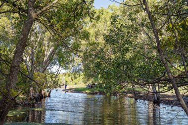 Tatilciler Ağacın Kıyısında Dinleniyor
