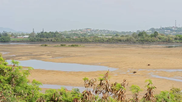 Australian River At Low Tide