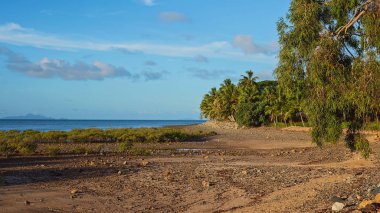Renkli Sahil Sahili Manzarası