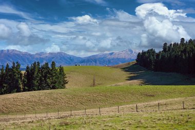 Yeni Zelanda 'nın kayan tepeleri ve çam ormanları kar örtülü dağ sıraları ile bulutlu mavi gökyüzünün altında