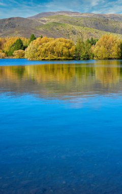 Altın sonbahar yaprakları Yeni Zelanda 'daki güzel mavi su gölüne yansıyor.