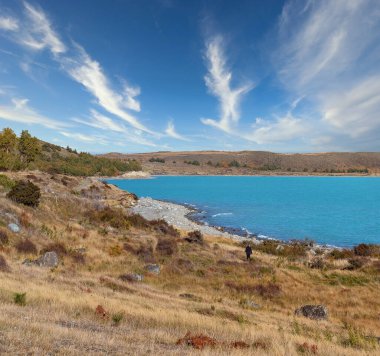 Yeni Zelanda 'da Pukaki Gölü kıyısında yürüyen bir yürüyüşçü.