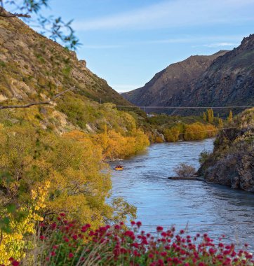 Kawarau Nehri 'ndeki turistler Yeni Zelanda' daki kanyonda adrenalin salgılıyor.