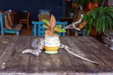 Sıradan bir kafe restoranında renkli bir saksı bitkisini çevreleyen eski ahşap bir masanın üzerinde sürükleniyordu.