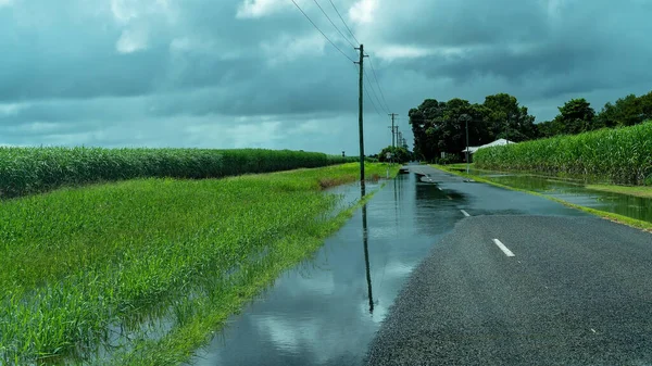Campo Caña Azúcar Lado Carretera Inundado Después Fuertes Lluvias Norte — Foto de Stock